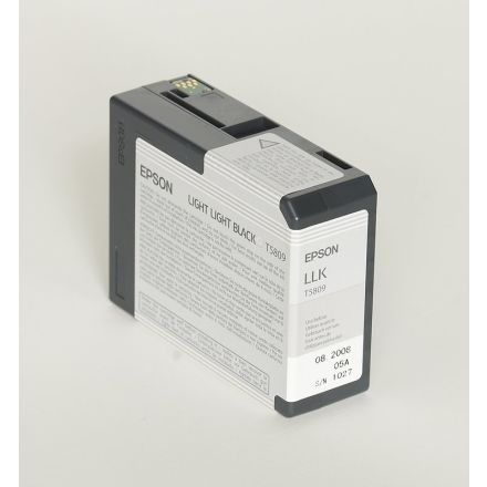 Epson - Cartuccia inkjet - originale - C13T580900 - nero chiaro chiaro