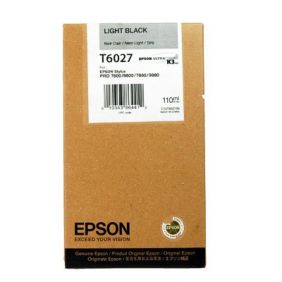 Epson - Cartuccia inkjet - originale - C13T602700 - nero chiaro