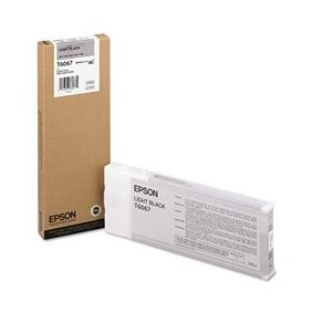 Epson - Cartuccia inkjet - originale - C13T606700 - nero chiaro